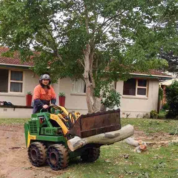 cs-tree-services-land-clearing